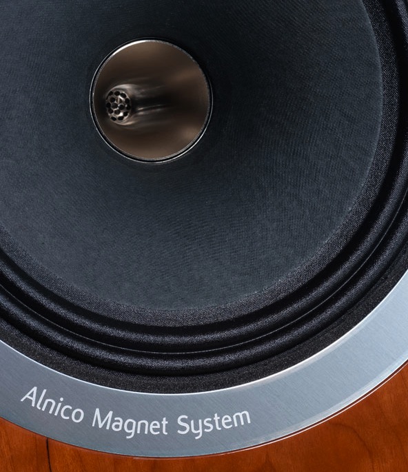 tannoy-dc10a-alnico-magnet