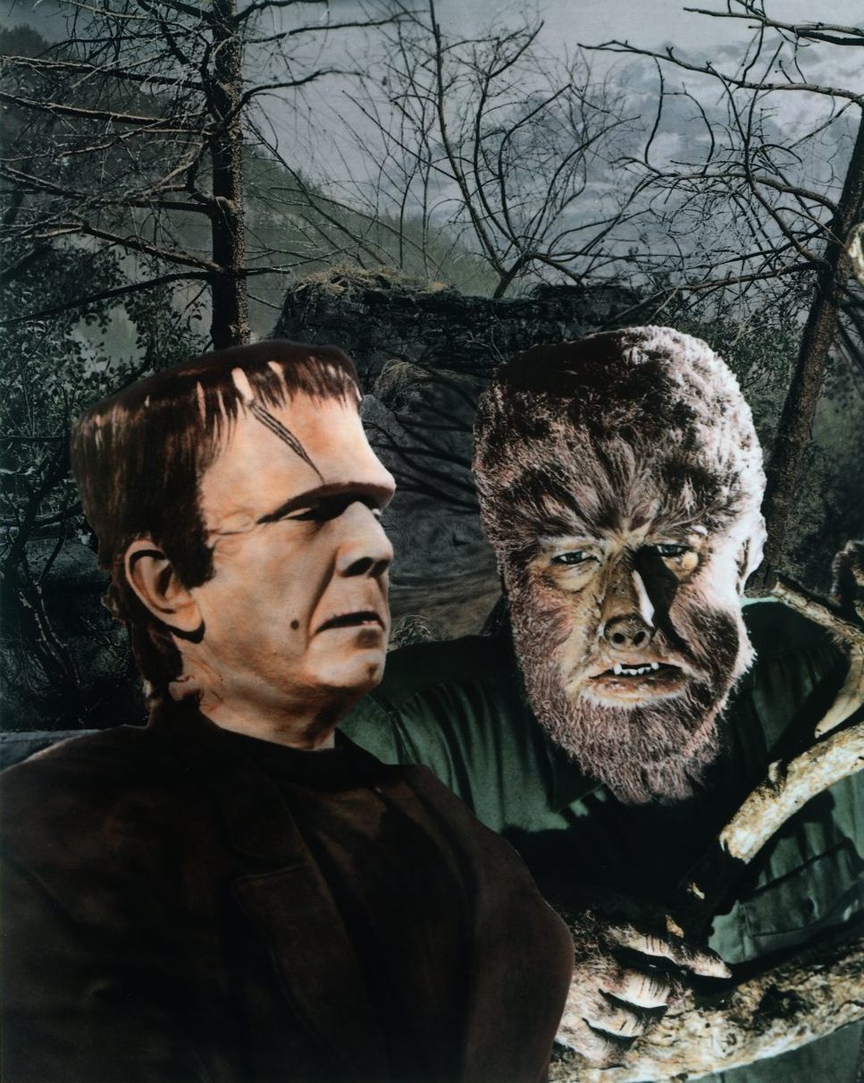 [Image: Blu-ray_Frankenstein_rencontre_le_loup-garou_17.JPG]