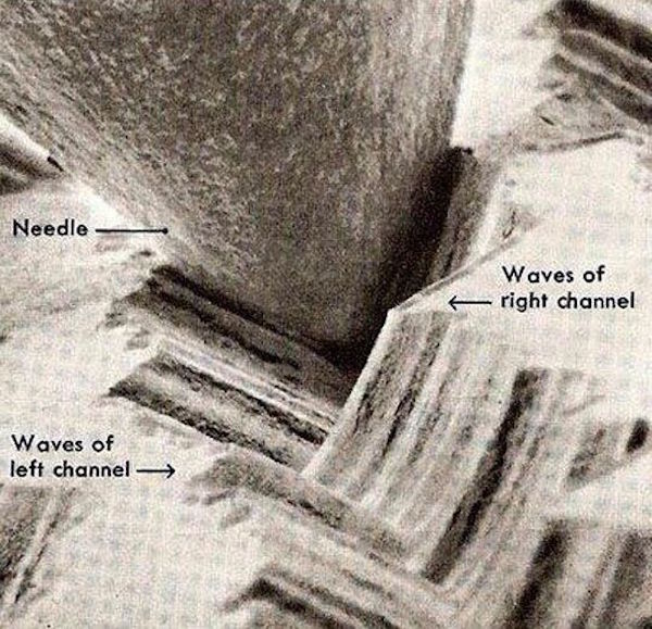 vinyl microsillon microscope 2