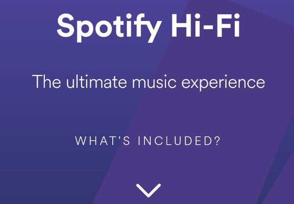 Spotify Hi Fi Whats Included