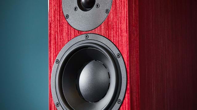 dynaudio special 40 closeup red birch 01