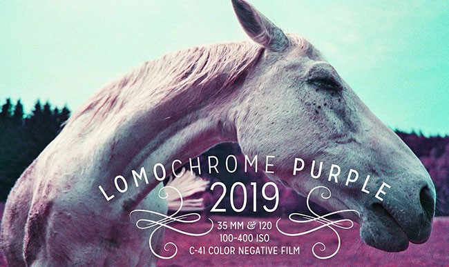 LomoChrome 2019