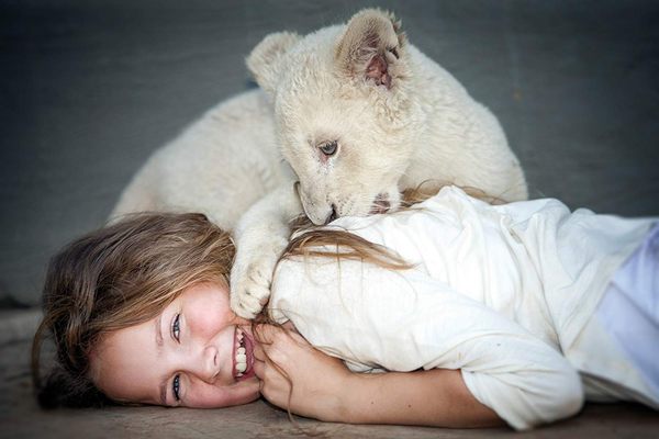 Blu ray Mia et le lion blanc 00
