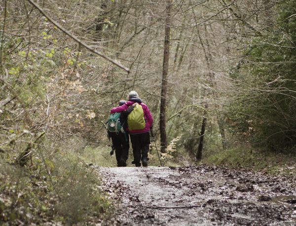 DVD Sur la route de Compostelle 00